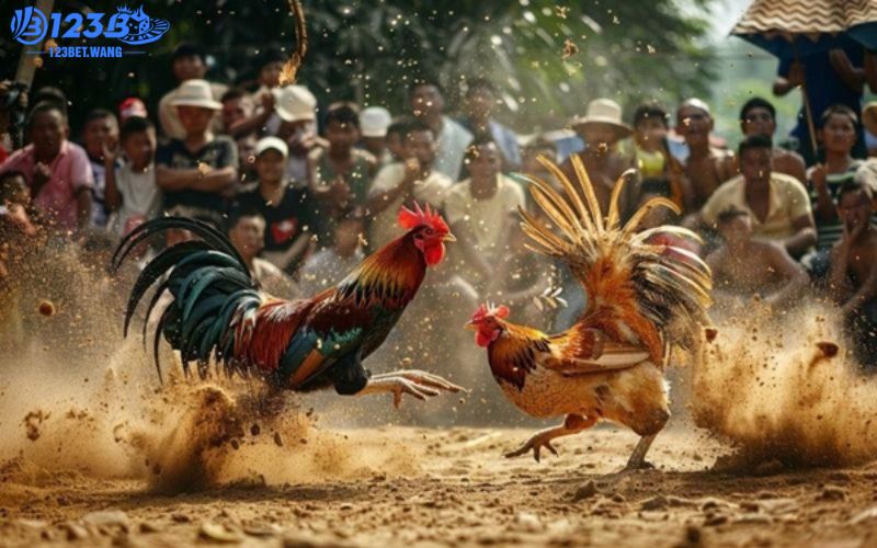 Một vài lưu ý quan trọng
